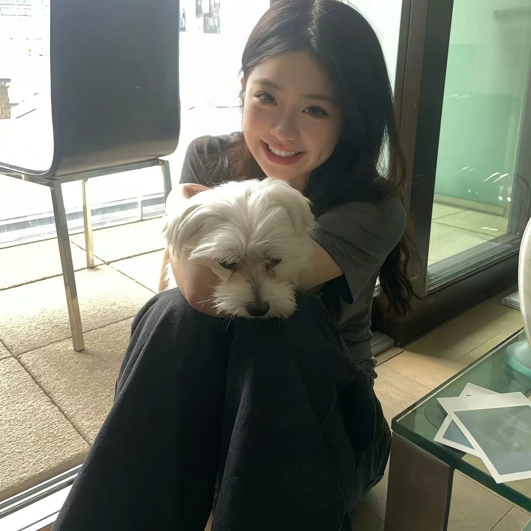 我爱猫头鹰